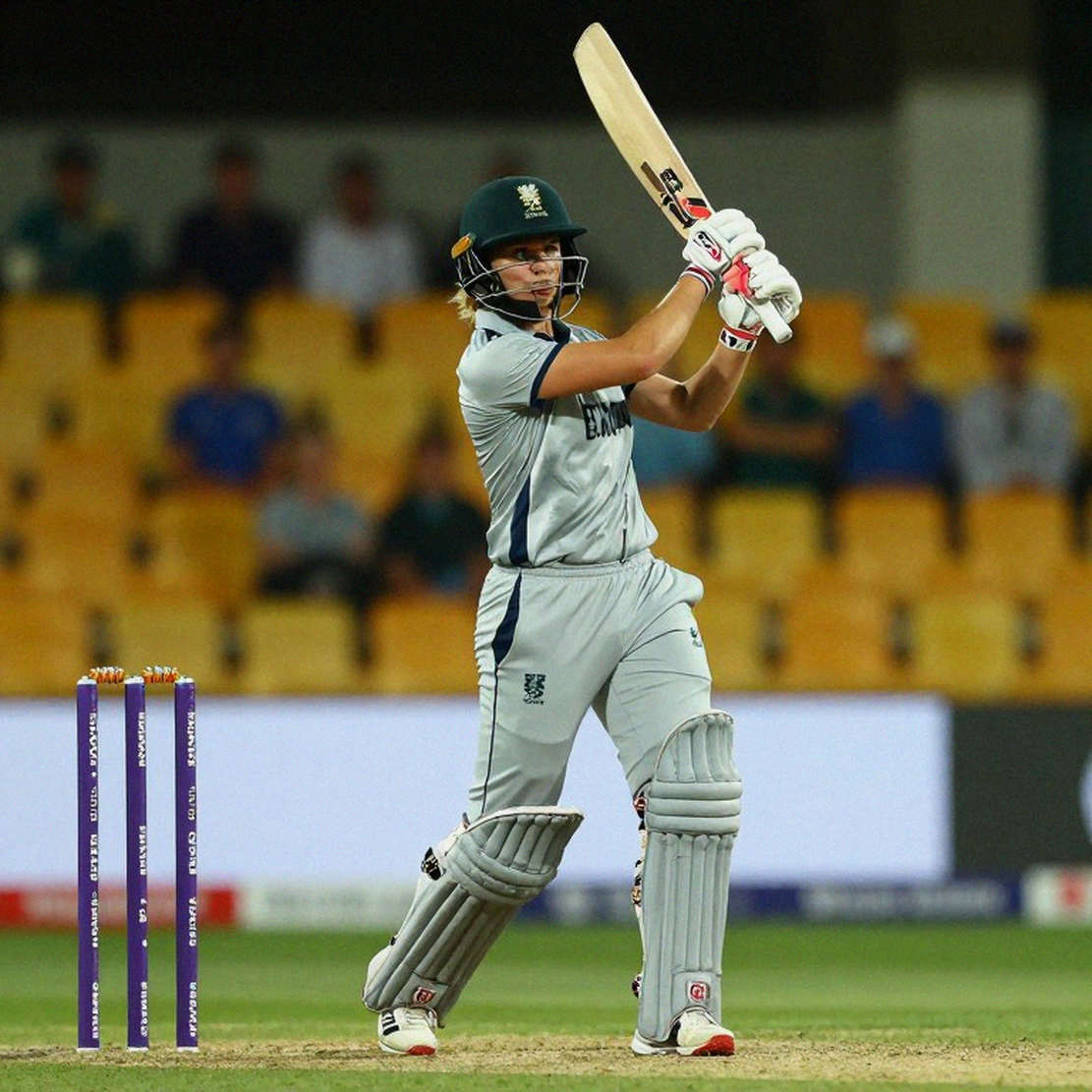The Empty-Input Crisis in Cricket Analysis: How to Analyse When There Is No Data