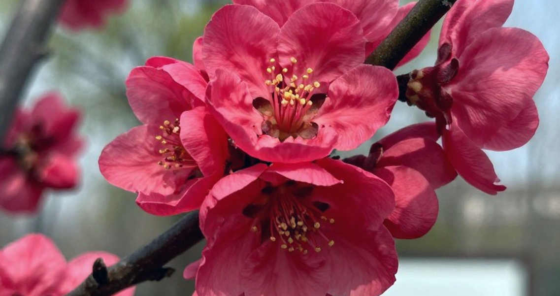 रूति आगा: छह साल का प्रतिबंध, और वह पर्चा जो ऐसे क्लिनिक से आया जो अस्तित्व में ही नहीं था